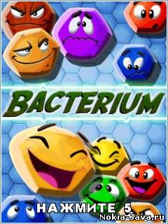 Bacterium