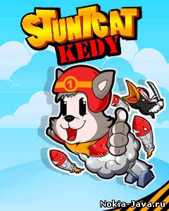 Stunt Cat Kedy