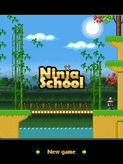 Ninja School