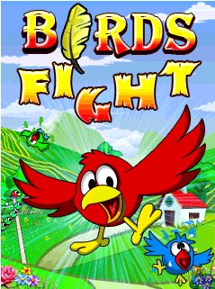 Birds Fight