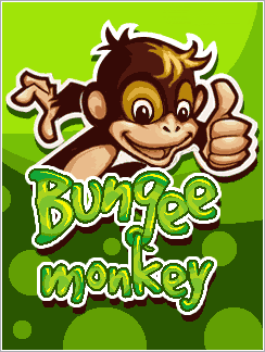 Bungee Monkey