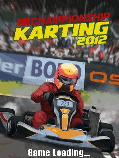 Чемпионат по картингу 2012