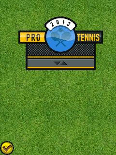 Pro Tennis 2013