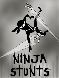 Ninja stunts