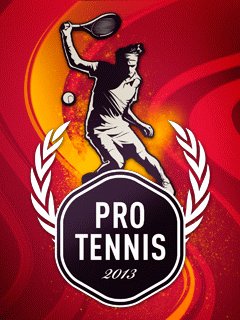 Pro Tennis 2013