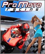 Профессиональные Мотогонки (Promoto racing)